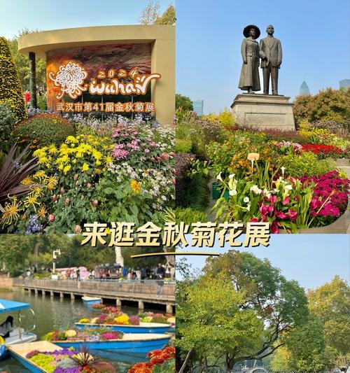 菊花的多重用途及其在不同场合的应用（探索菊花的魅力，从花坛到餐桌）