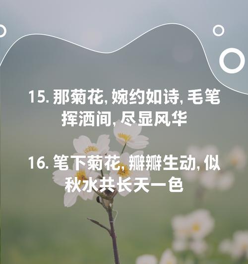 赏菊花之美（秋韵盛放，迎接金秋的华丽花朵）