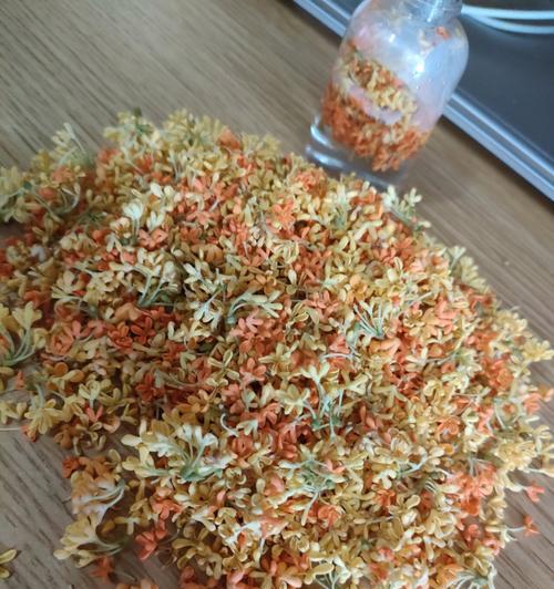 桂花的多种用途(探索桂花的独特魅力)