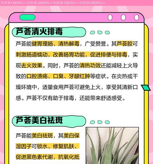 芦荟的多种食用做法及功效（探索芦荟的美食之旅）