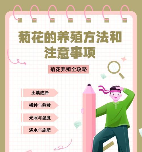 菊花剪枝栽培与种植全攻略（学会正确的剪枝技巧，让你的菊花成为花坛中的明星）