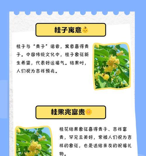 桂花树的风水寓意与影响（桂花树风水的五行属性与财运引起的注意）