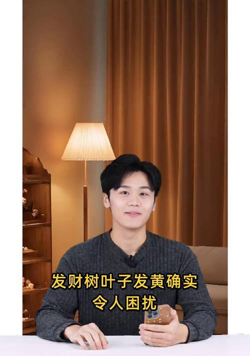 为什么发财树会出现黄叶？（探索发财树黄叶的原因和解决方法）