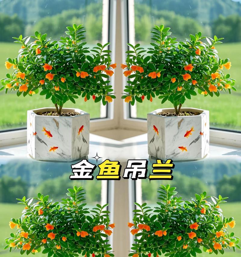 以吊兰能放鱼缸里和鱼一起养吗？（探讨吊兰与鱼缸共生的可能性）