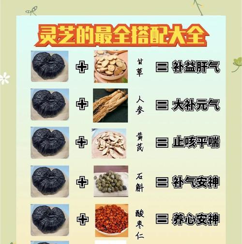 灵芝的种植和养殖方法(掌握灵芝的种植技巧,打造高产优质灵芝种植园)