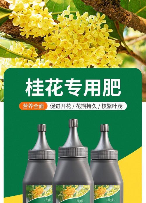 桂花树的肥料选择及喜好（优质肥料为桂花树生长增色）