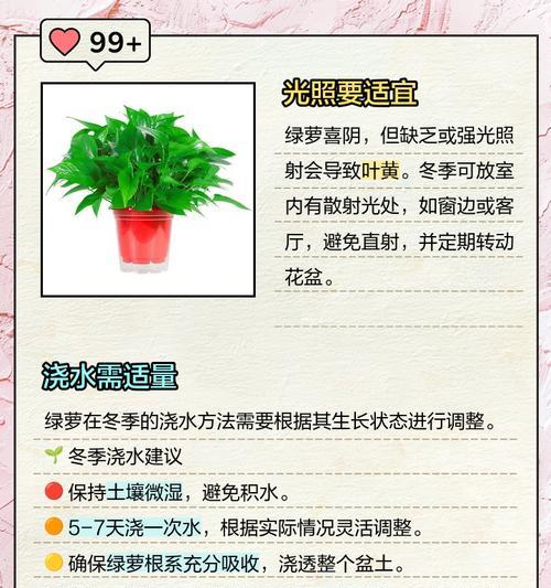 绿萝叶子变黄的原因与处理方法（怎样解决绿萝叶子变黄的问题？）