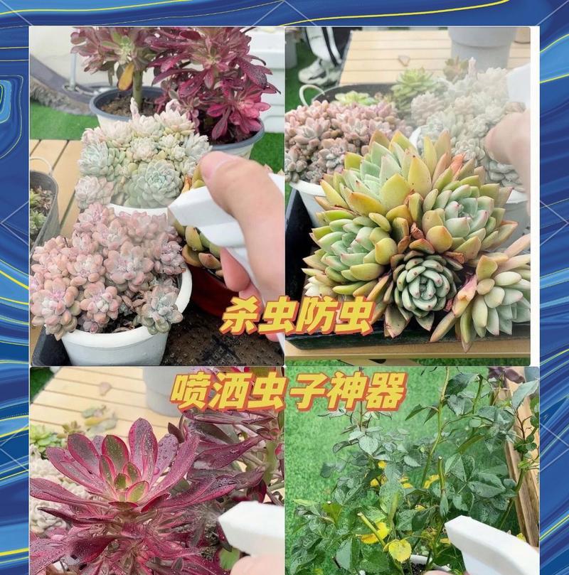 花卉病虫害防治方法（保护花卉免受病虫害侵害的有效途径）