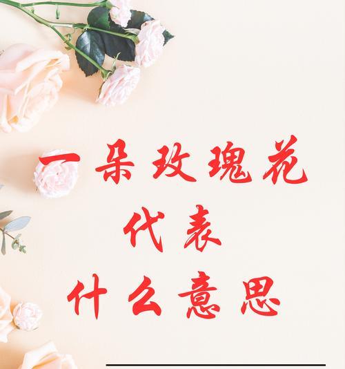 十三朵玫瑰花所代表的意义（花语传情，十三朵玫瑰之美）