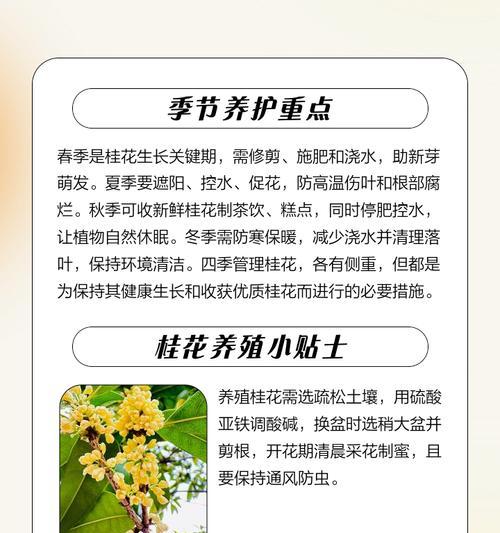 冬季桂花的浇水方法（科学浇水，让桂花在冬季健康茁壮成长）