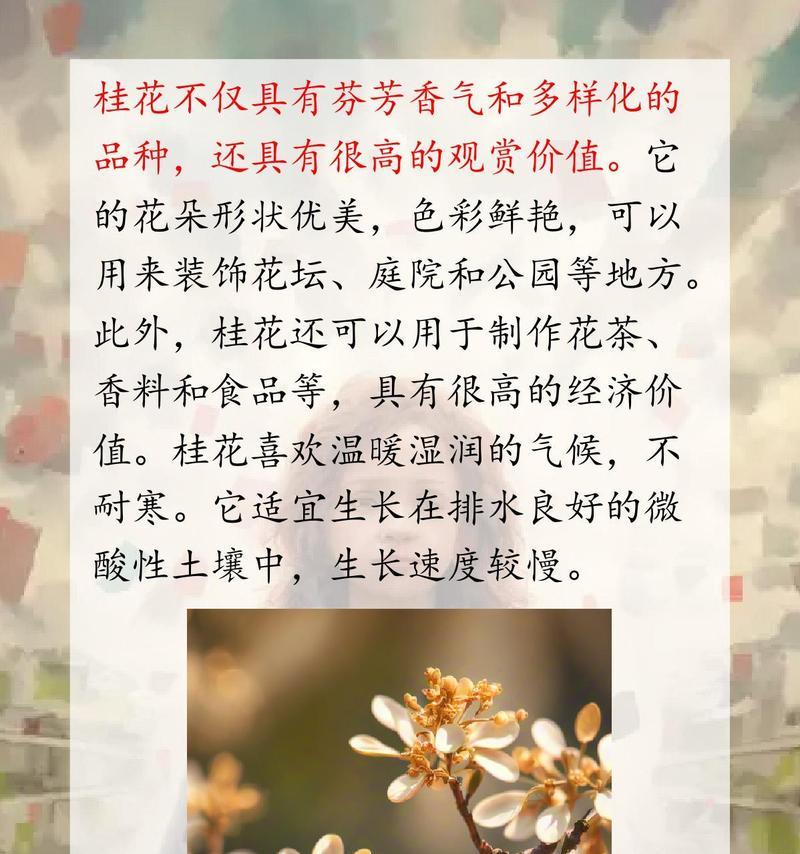 桂花树的桂花之谜（桂花的诞生与演化）