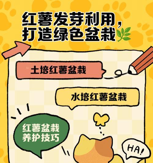 红薯盆栽快速发芽的秘诀（挖掘红薯发芽的窍门，让你的盆栽更旺盛生长）