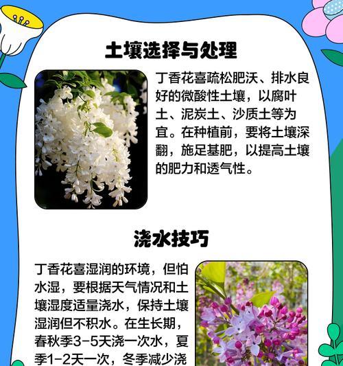 鲜花薰衣草的养护指南（打造芬芳宜人的薰衣草花园）