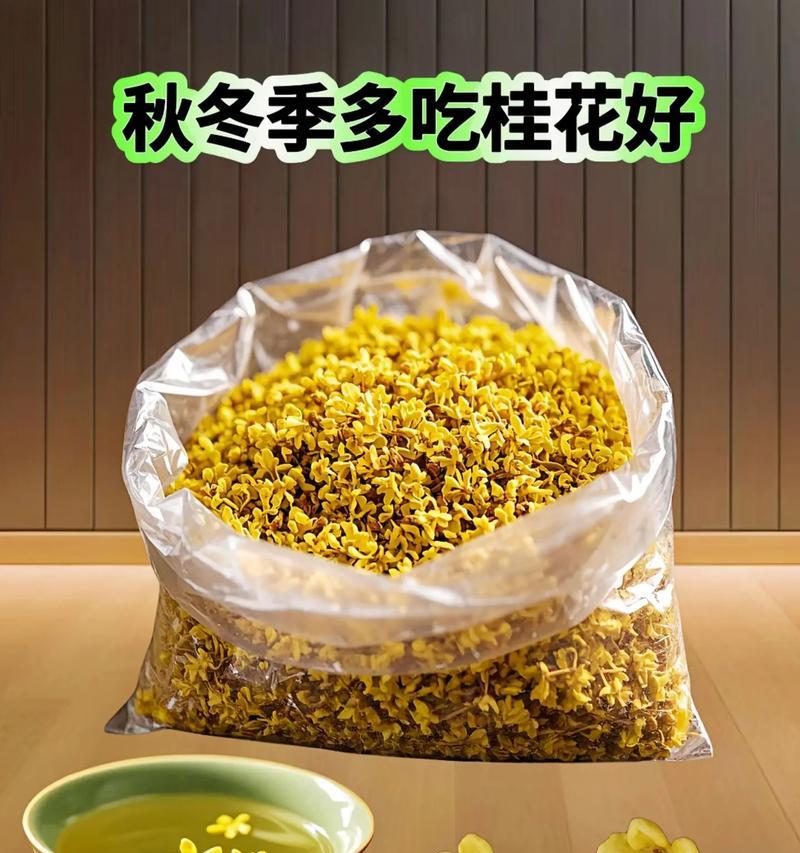 桂花的食用与功效（探索桂花的独特食用方式，享受其丰富的健康益处）