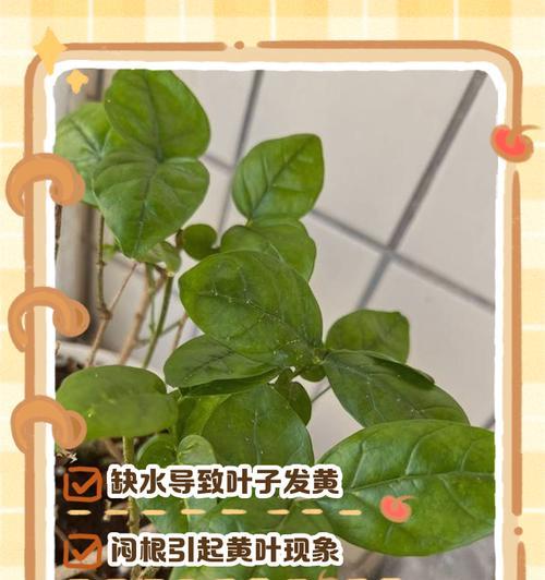 海棠叶发黄的原因及解决方法（探究海棠叶发黄的根本原因和科学的养护方法）