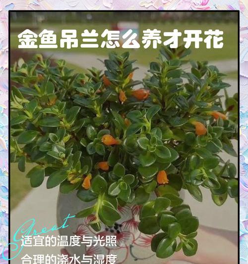 冬季养护指南（室内养护技巧、温度控制与水分调节）