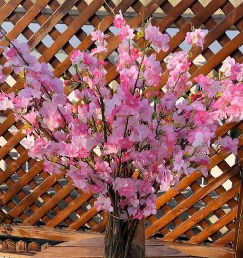 夏天红梅的浇水技巧（让红梅在炎热夏季中绽放鲜艳的花朵）