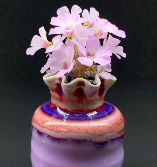 剪下多肉植物如何插根——技巧与方法（以剪掉多肉的花剪为工具，教你如何正确插根养植多肉）